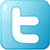 social-twitter-box-blue-icon1